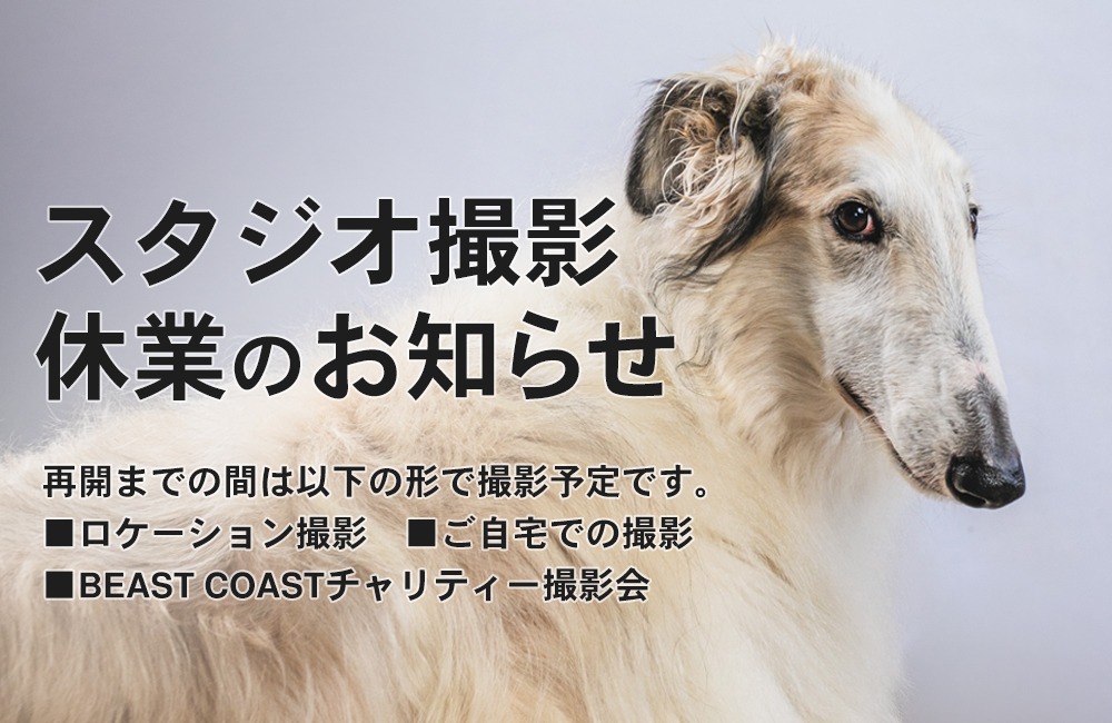 スタジオ休業のお知らせ